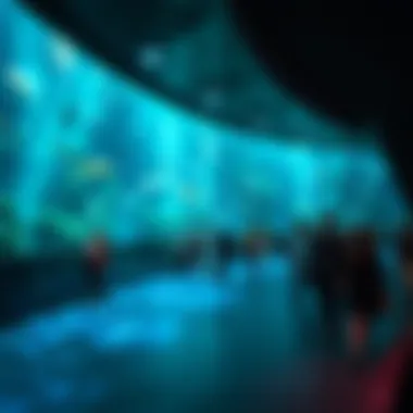 Magnificent The Atlantis Aquarium Experience: An In-Depth Exploration Magnificent The Atlantis Aquarium Experience: An In-Depth Exploration