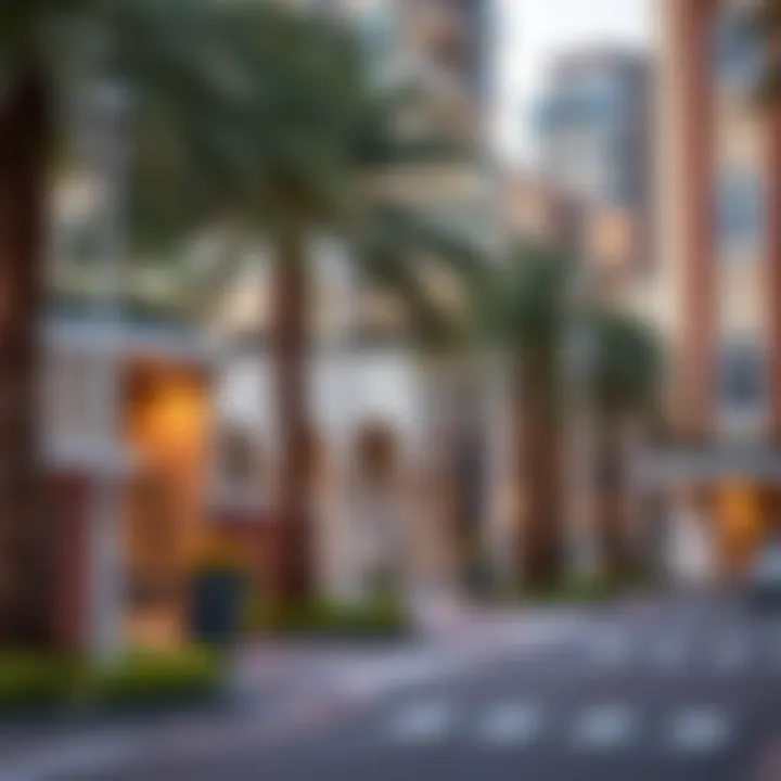Surrounding Neighborhood and Amenities of Al Nasr Tower 3 Surrounding neighborhood and amenities of Al Nasr Tower 3