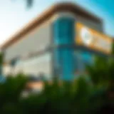 An In-Depth Examination of Home Center on Hamdan Street Introduction