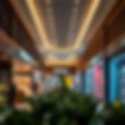 An In-Depth Examination of Spinneys Al Forsan Introduction