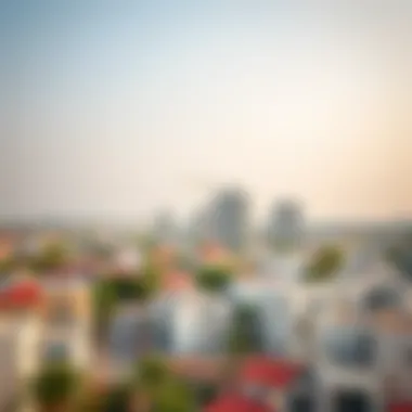 Overview of a Dubai Neighborhood Overview of Dubai neighborhood with diverse housing options