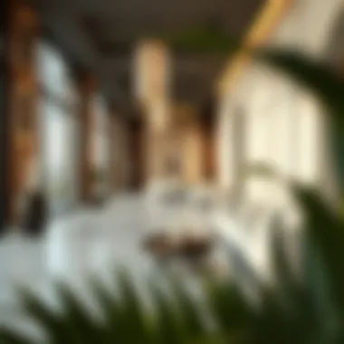 Damac Maison Distinction: An In-depth Analysis Summary Damac Maison Distinction: An In-depth Analysis Summary