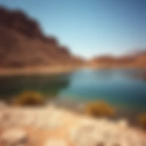 Exploring Ain Al Faydah Lake: A Hidden Oasis in Dubai's Landscape Introduction