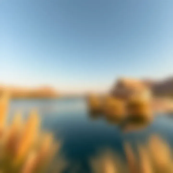 Notable Exploring Ain Al Faydah Lake: A Hidden Oasis in Dubai's Landscape