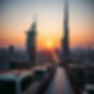 Economic Landscape of مول النخيل A panoramic view of مول النخيل at sunset showcasing its economic significance