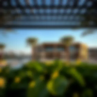 Luxurious Amenities in Damac Hills Luxurious amenities available in Damac Hills including the clubhouse and pool area