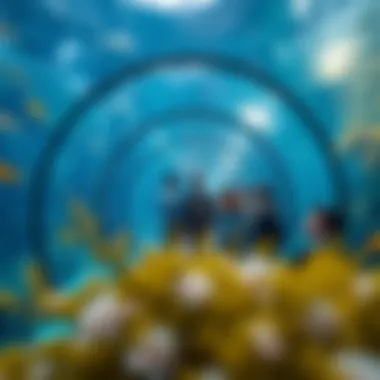 Underwater Tunnel Experience Visitors marveling at the underwater tunnel surrounded by vibrant fish.
