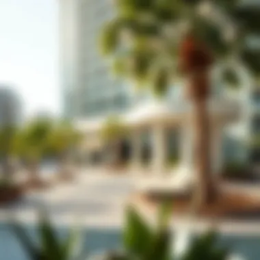 Local Amenities Enhancing Lifestyle in Karama Local amenities in Karama enhancing lifestyle for residents