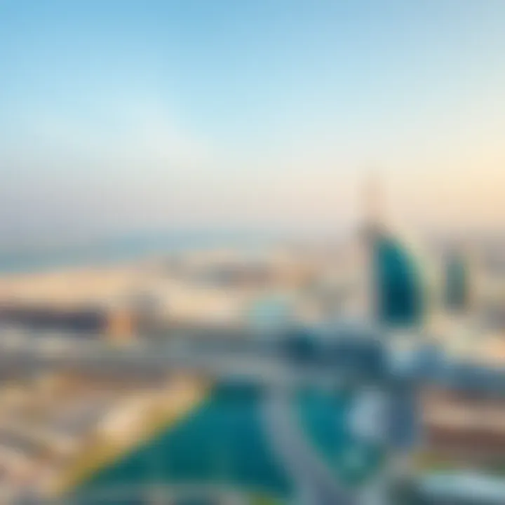 Jebel Ali Free Zone Overview A panoramic view of the Jebel Ali Free Zone highlighting business opportunities