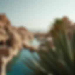 A stunning view of a hidden oasis in the desert