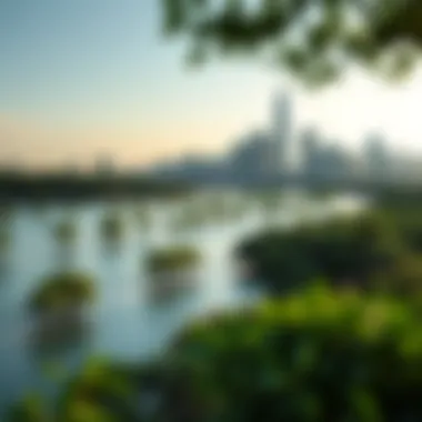 Integrating Nature with Urban Development Urban skyline with mangrove park in the foreground