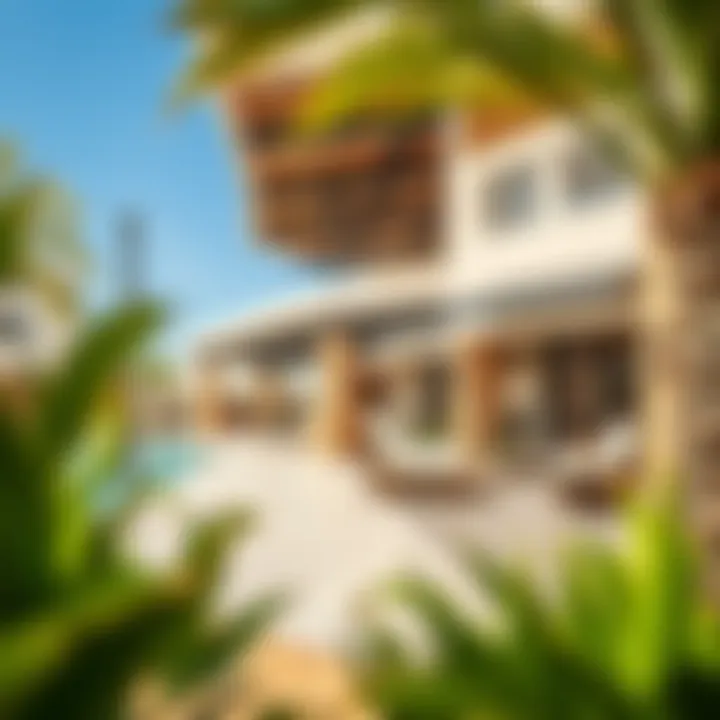 Community Amenities in Nasab Al Barari Community amenities in Nasab Al Barari