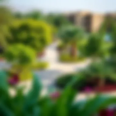 Lush Community Amenities in Al Jaddaf The lush green surroundings and amenities available in Al Jaddaf, highlighting the community lifestyle.