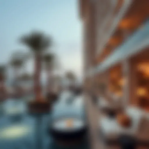 Exploring the Adagio Palm: A Comprehensive Guide Introduction