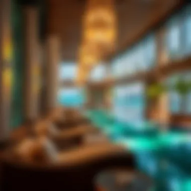 Exploring the Adagio Palm: A Comprehensive Guide Summary