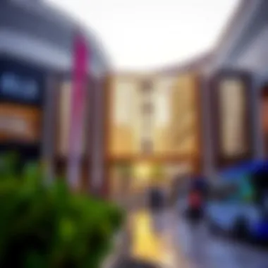 Exploring the BLS Deira City Center: A Comprehensive Guide Summary Exploring the BLS Deira City Center: A Comprehensive Guide Summary