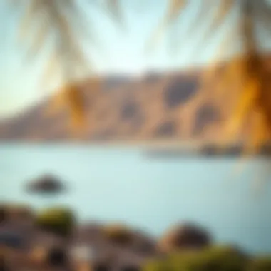 Natural Beauty of Fujairah Breathtaking natural scenery of Fujairah's landscapes