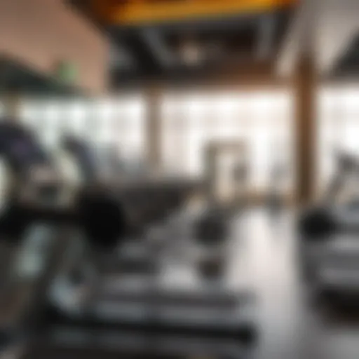 State-of-the-art gym equipment at Mirdif City Center