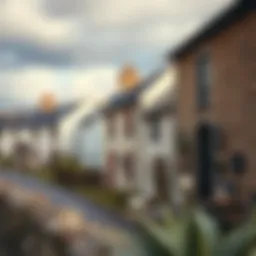 Scenic view of Garhoud showcasing traditional architecture