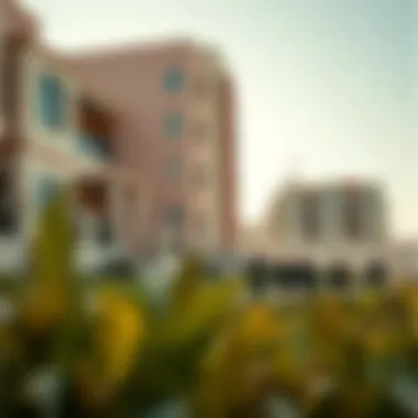 Exploring the Top Schools in Dubai Summary