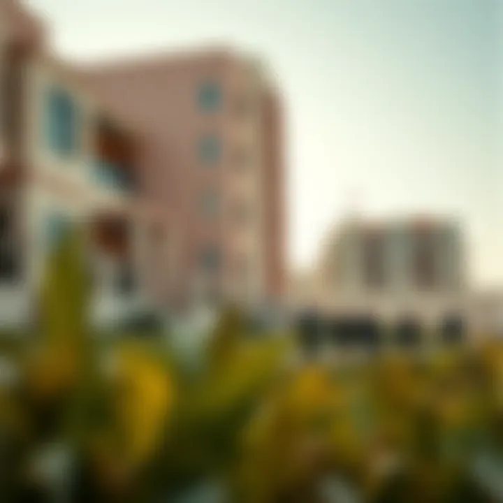 Exploring the Top Schools in Dubai Summary