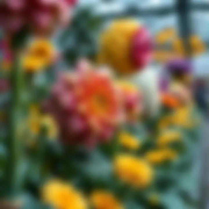 Close-up of unique flower sculptures and designs in the garden