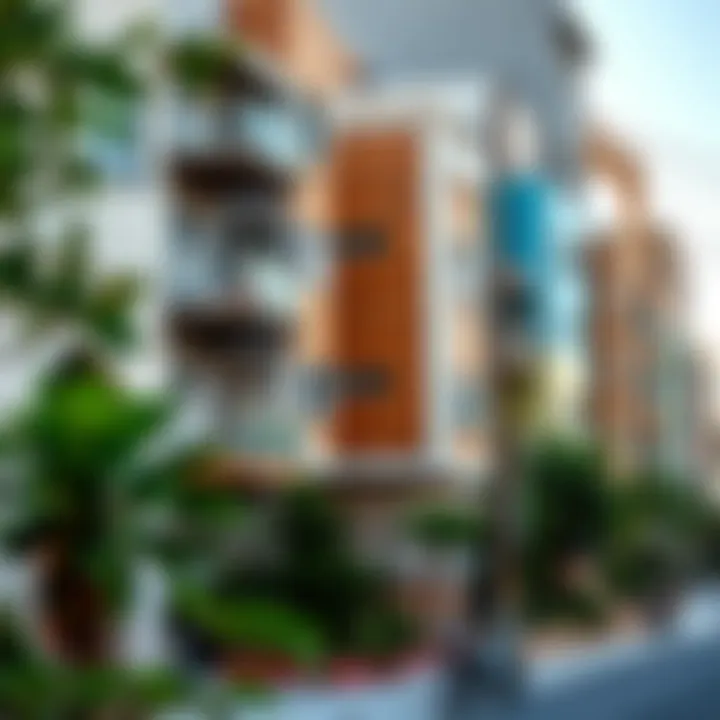 Vibrant urban neighborhood reflecting contemporary Arab identity