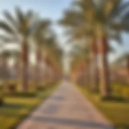 A serene pathway lined with palm trees in Nad Al Sheba Gardens