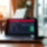 UAE visa status check interface on a digital device