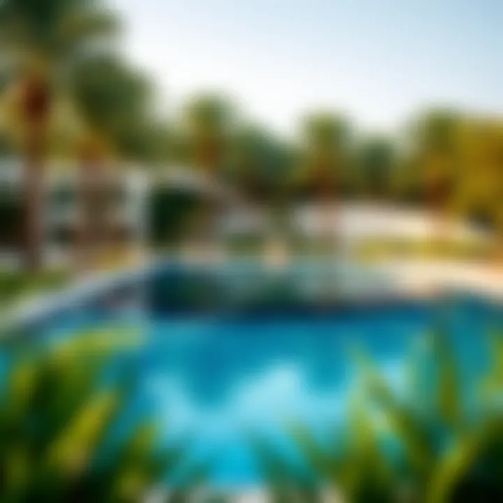 Outdoor Pool Area of Serenia Living Palm Expansive outdoor pool area of Serenia Living Palm, surrounded by lush greenery