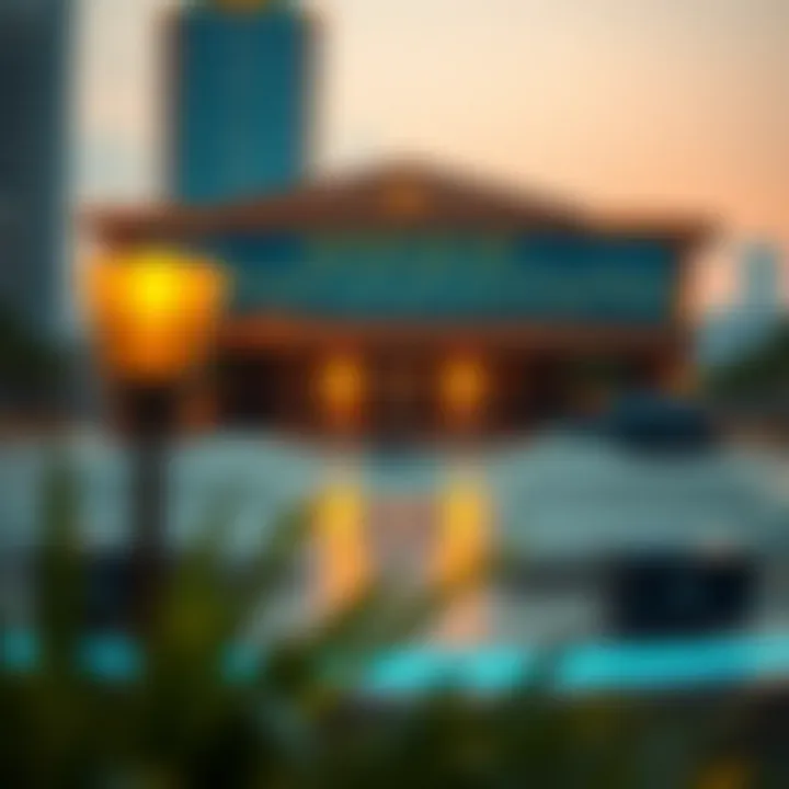 The Ecosystem of Dubai's Electronic Courts Summary