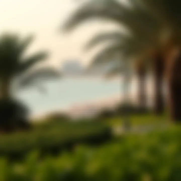 Scenic view of Umm Suqeim Beach Park showcasing lush greenery and the shoreline