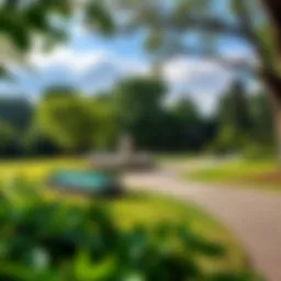 A scenic view of Shees Park showcasing lush greenery and pathways