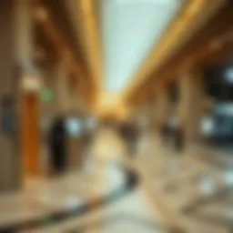 UAE visa check overview