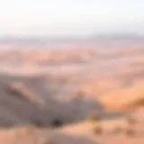 A panoramic view of the UAE landscape transitioning from winter to spring