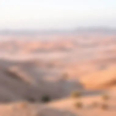 A panoramic view of the UAE landscape transitioning from winter to spring